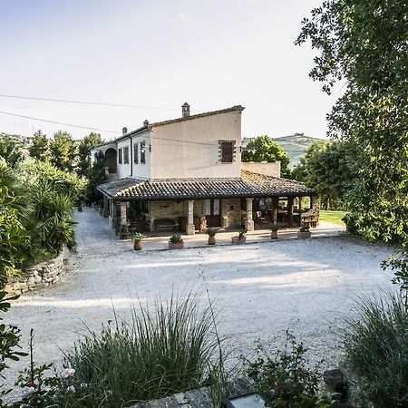 Bed and Breakfast Agriturismo Col Morino Pineto Exterior foto