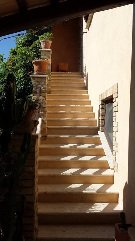 Bed and Breakfast Agriturismo Col Morino Pineto Exterior foto