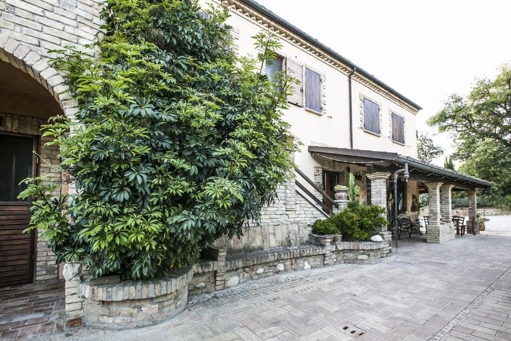 Bed and Breakfast Agriturismo Col Morino Pineto Exterior foto