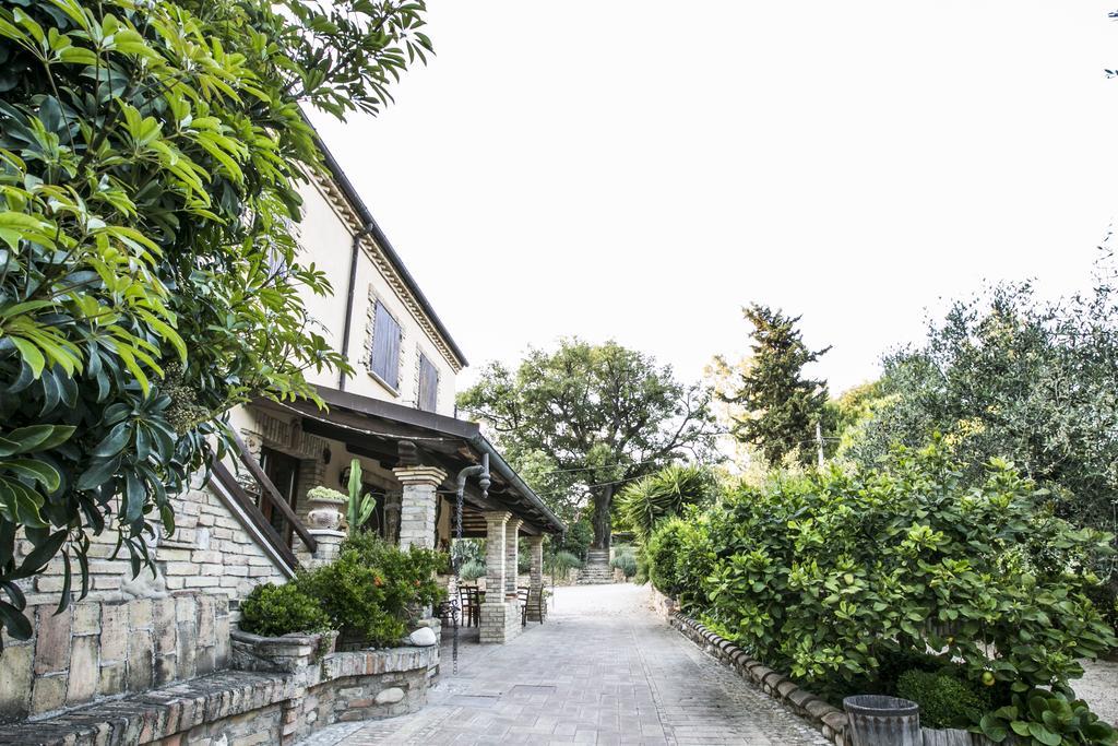 Bed and Breakfast Agriturismo Col Morino Pineto Exterior foto